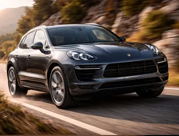 Porsche TD Turbo Diesel -viritys